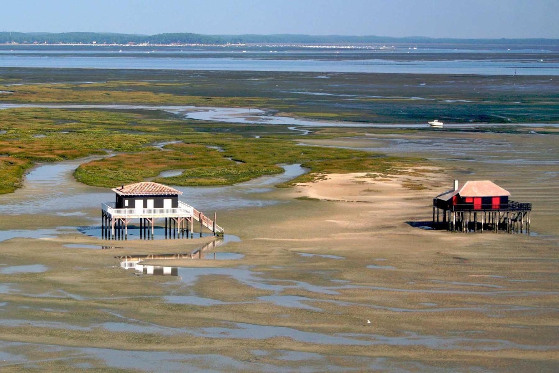 Hotel Un Toit Sur Le Bassin Claouey Lège-Cap-Ferret Zewnętrze zdjęcie